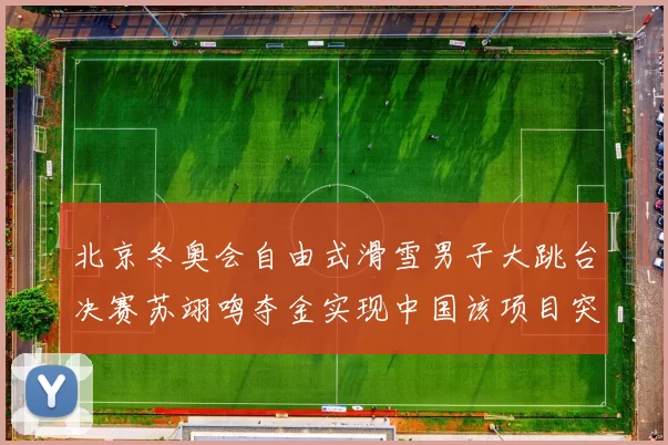 北京冬奥会自由式滑雪男子大跳台决赛苏翊鸣夺金实现中国该项目突破