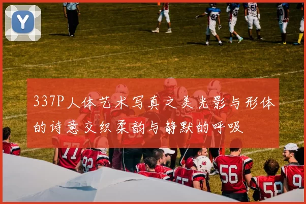 337P人体艺术写真之美光影与形体的诗意交织柔韵与静默的呼吸