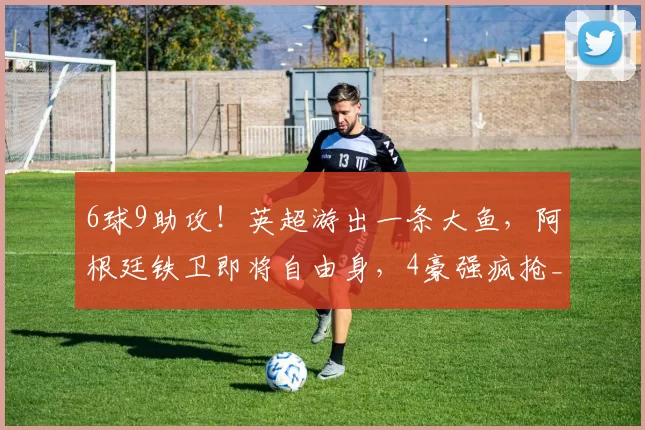 6球9助攻！英超游出一条大鱼，阿根廷铁卫即将自由身，4豪强疯抢_塞内西_中后卫_伯恩茅斯
