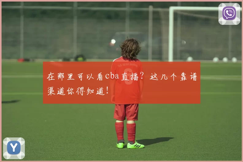 在那里可以看cba直播?这几个靠谱渠道你得知道!