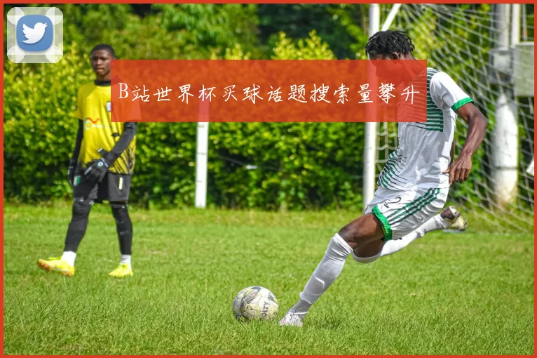 B站世界杯买球话题搜索量攀升