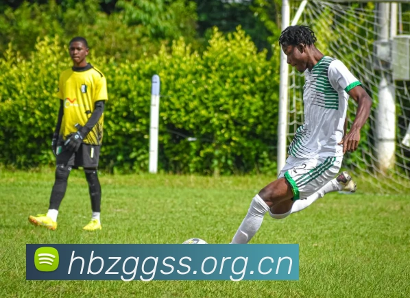 App Interface Preview