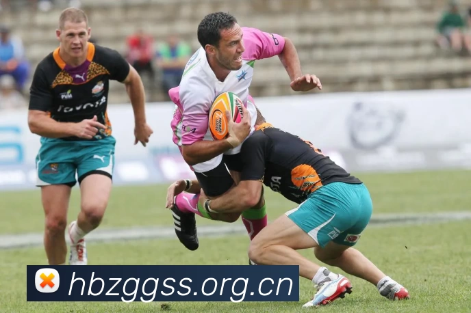 多媒体互动体验